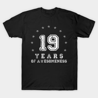 Vintage 19 years of awesomeness T-Shirt